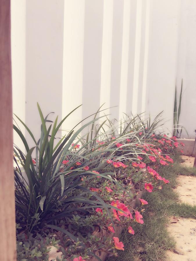 Hani House Pleiku Exterior foto
